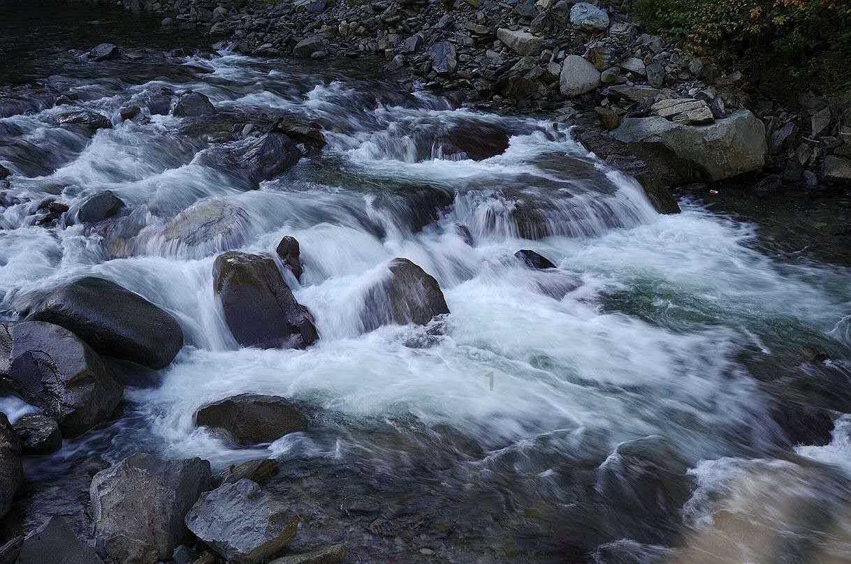 救援小巨鳄